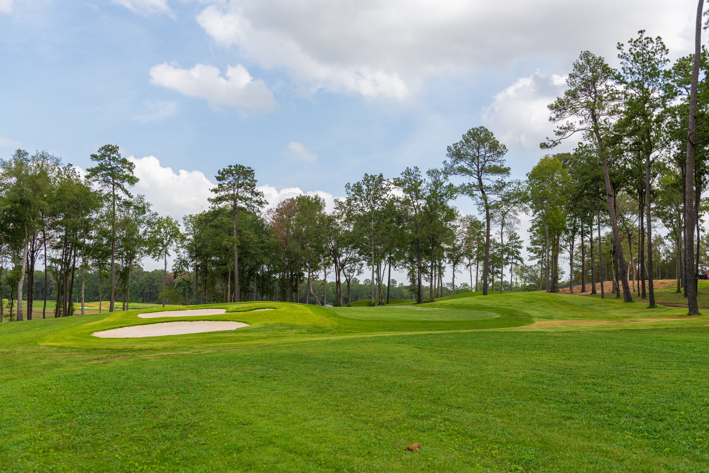 large golf course surrounded by wooded area