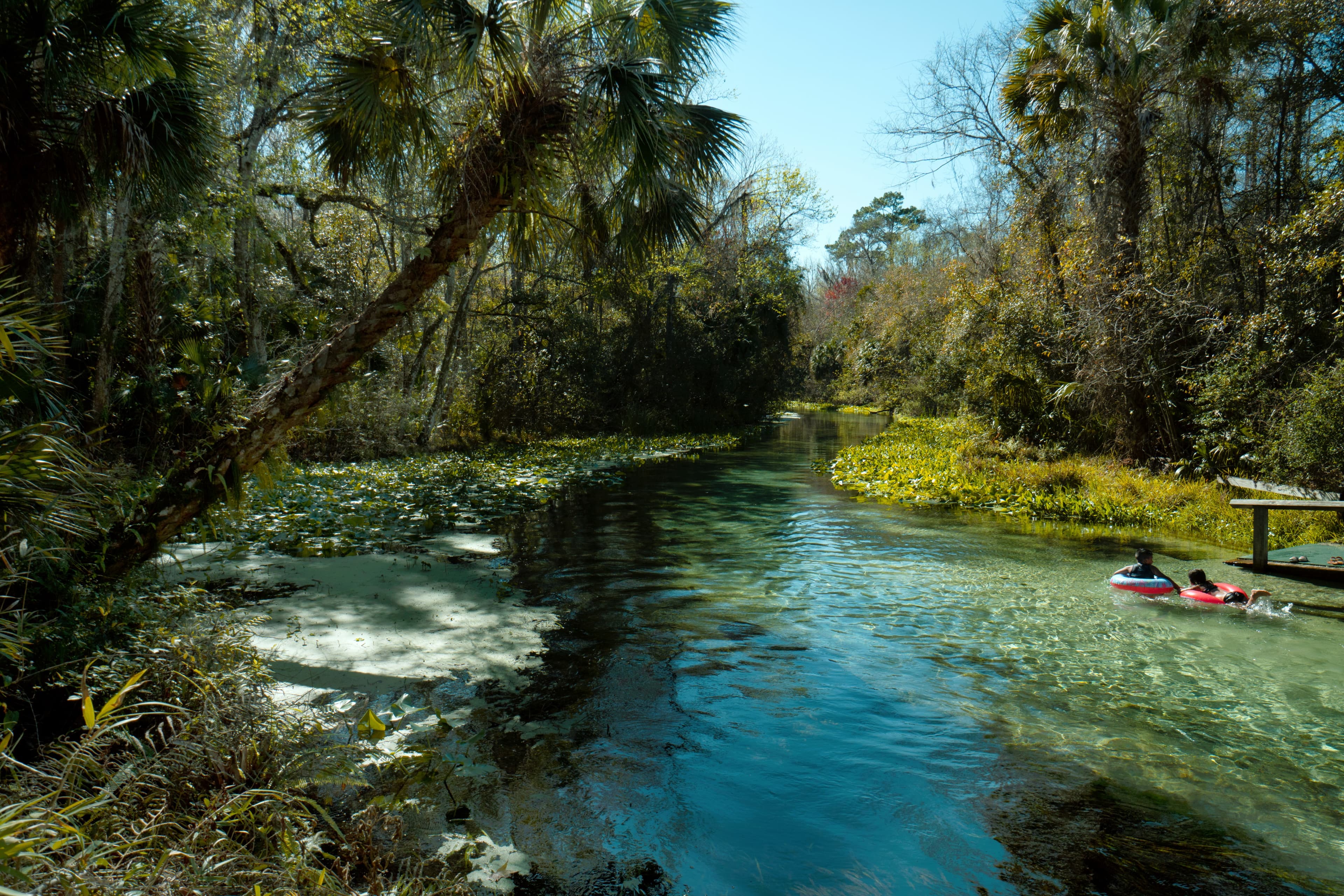 two people floating along springs surrounded by trees