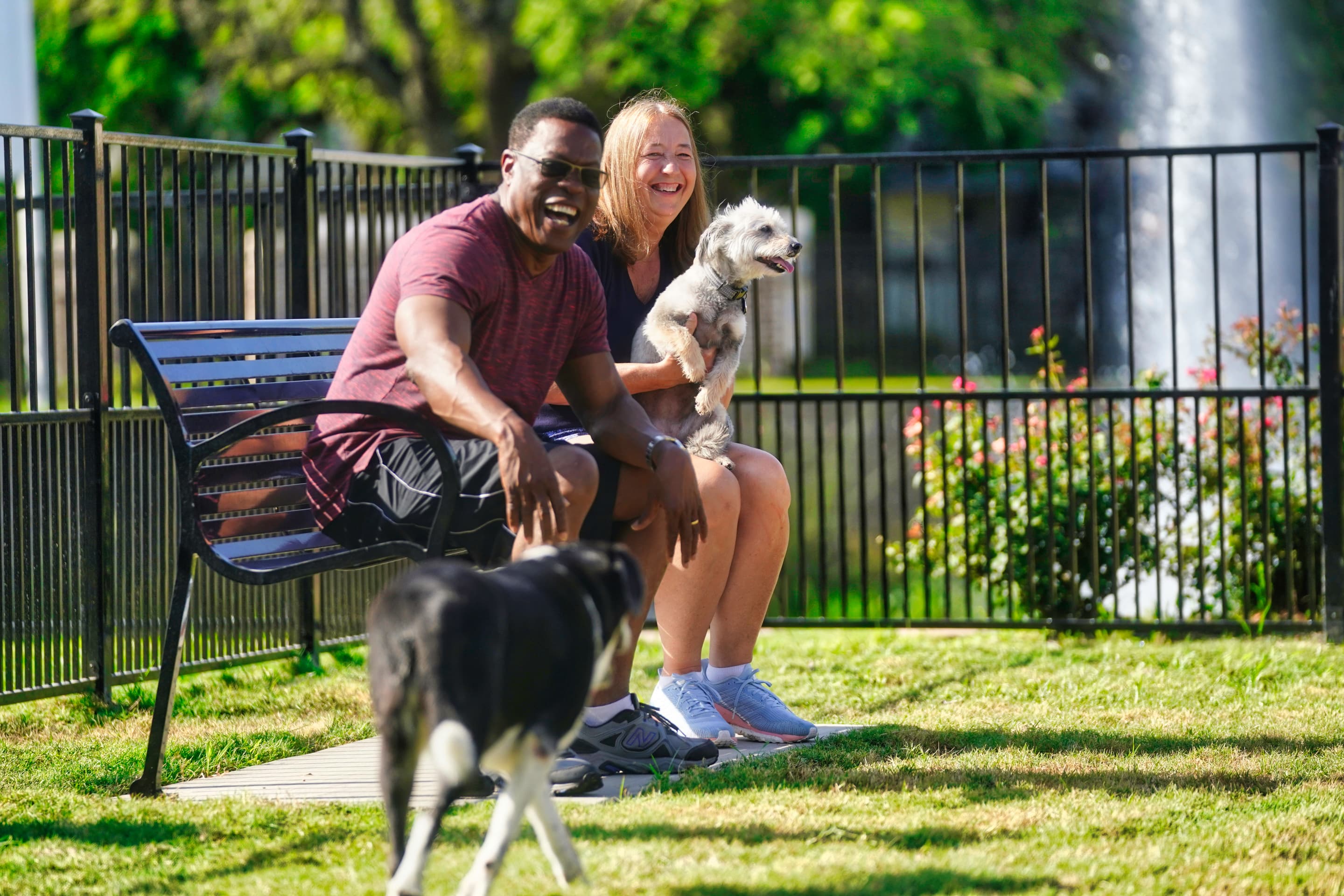 gated dog park with benches