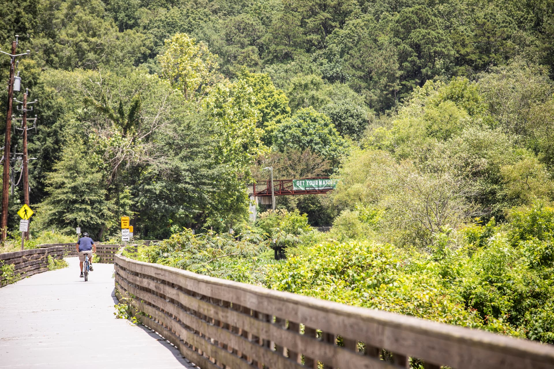 man on bike cycling down the path with tress