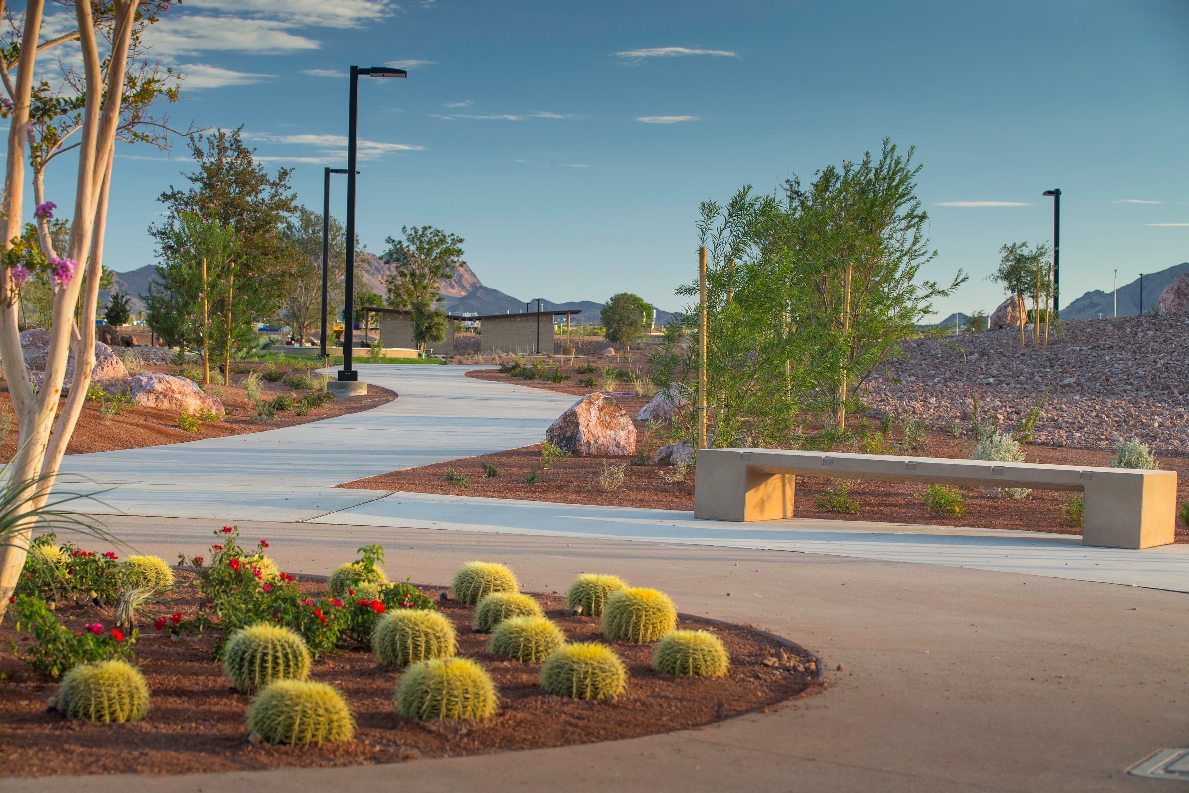 trail with desert landscaping and trees