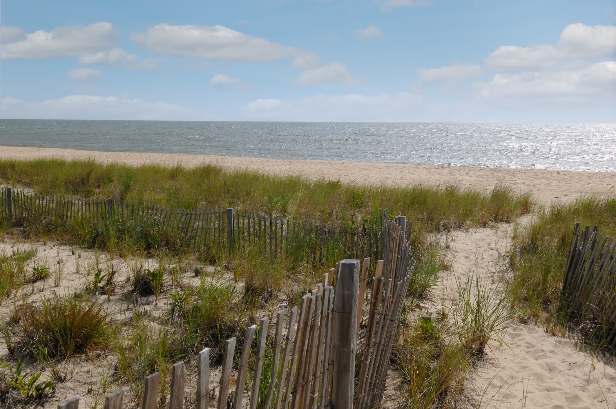 Neighborhood image for ocean view de